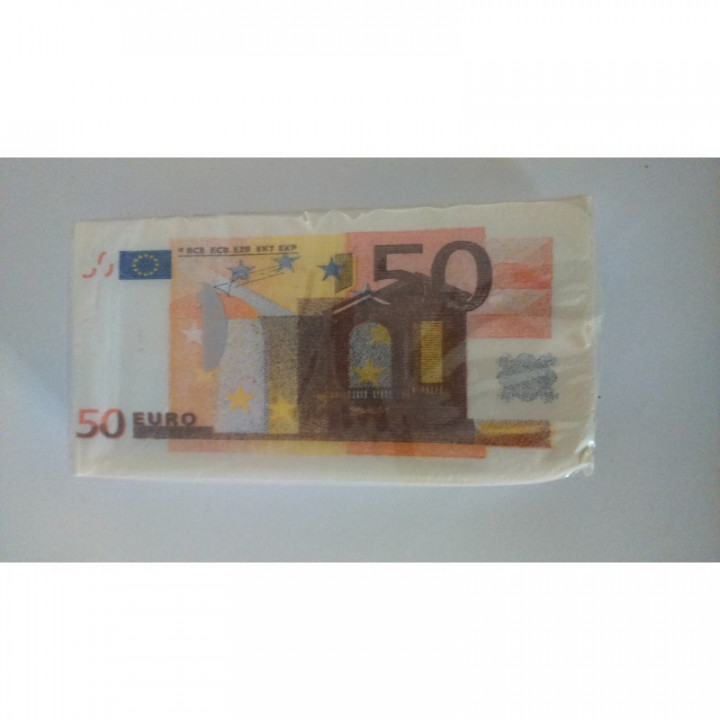 Paquet de 10 Mouchoirs Billets Euros N°2