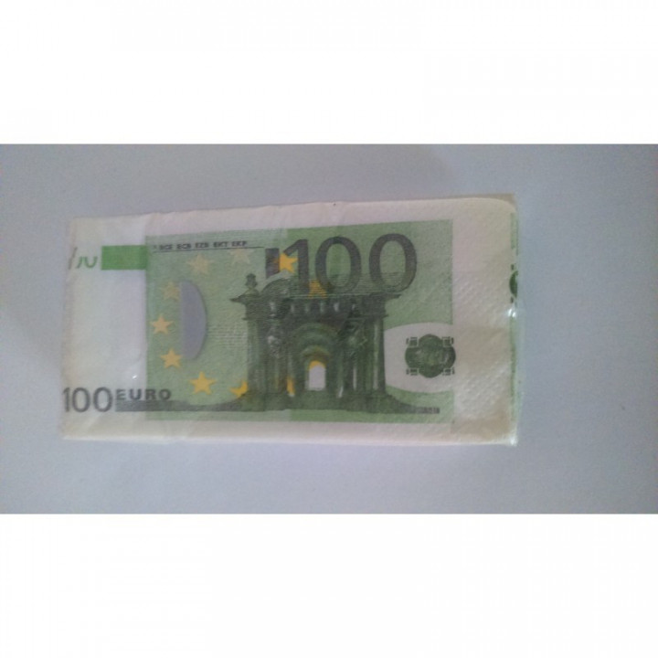 Paquet de 10 Mouchoirs Billets Euros N°3