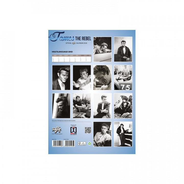 Calendrier James Dean The Rebel 2018 Officiel