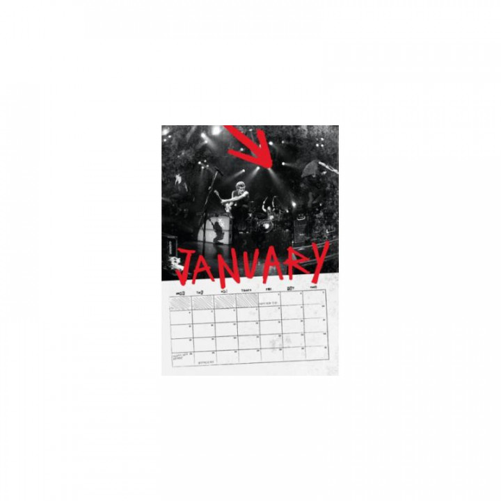 Calendrier 5 Seconds of Summer Officiel 2016