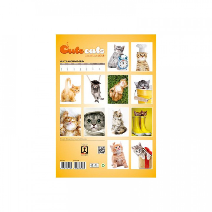 Calendrier Cute Cats 2018