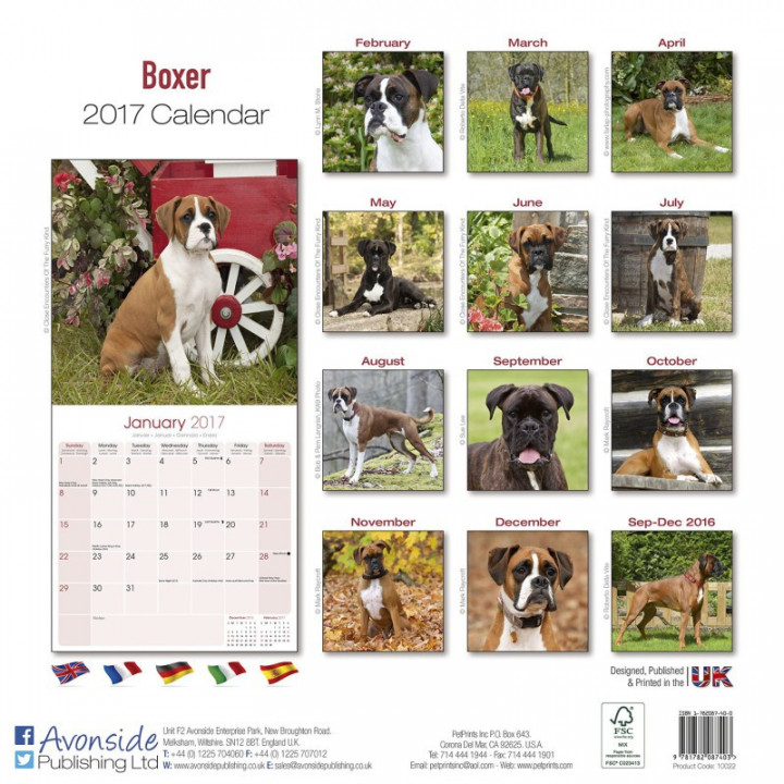 Calendrier Boxer 2017
