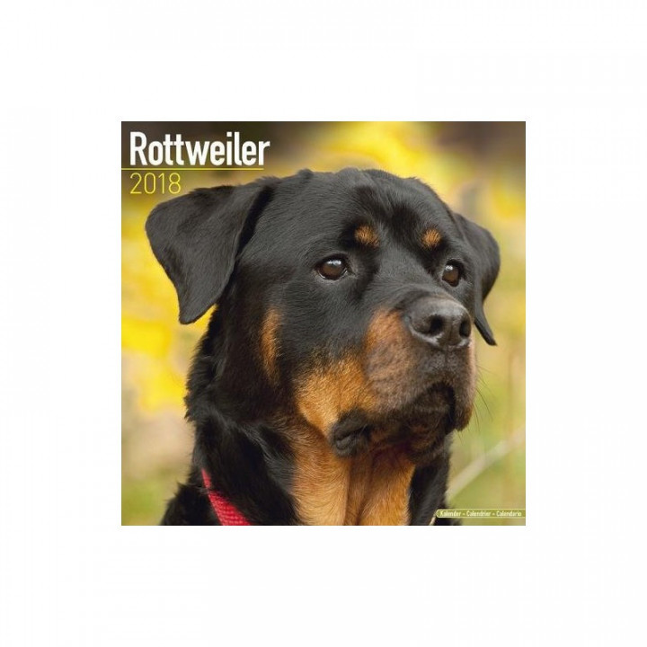 Calendrier Rottweiler 2018