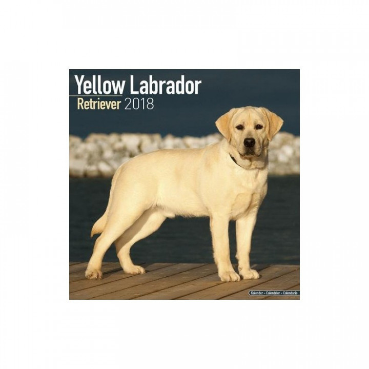 Calendrier Labrador Retriever 2018