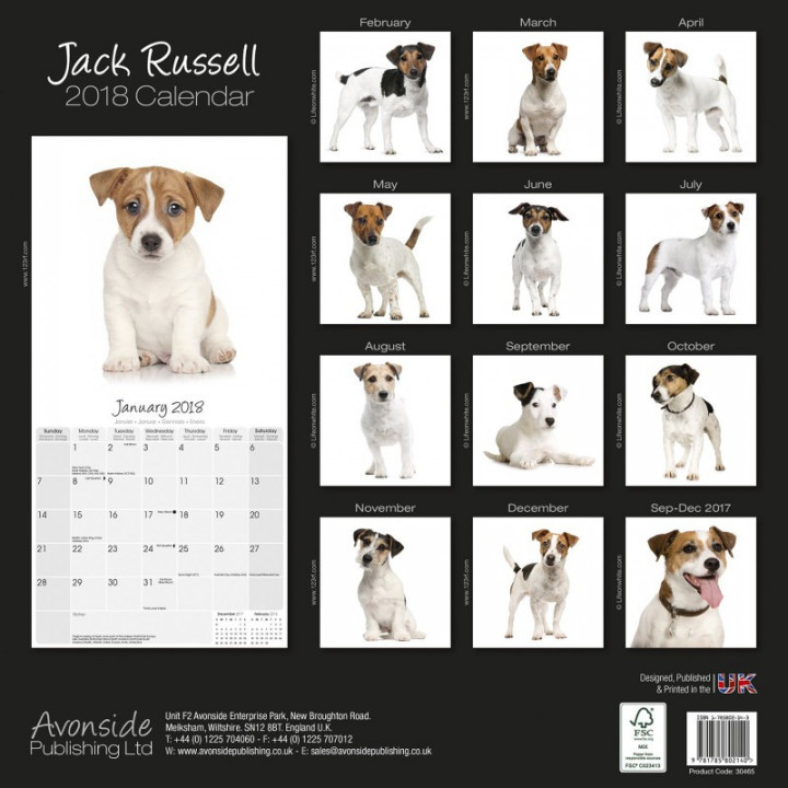 Calendrier Jack Russell 2018